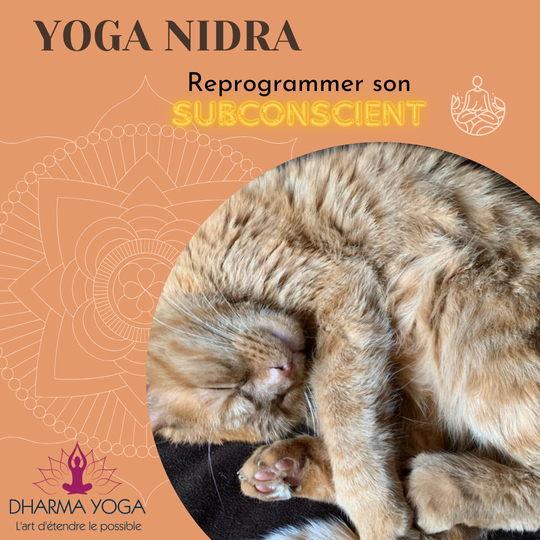 Expérience de Yoga Nidra